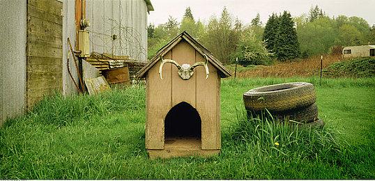 锁定8月24日，《命运2》邀你共同见证新未来